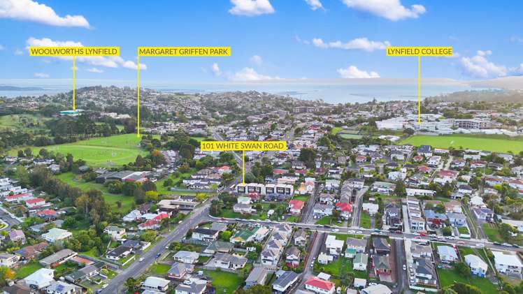 Lots 1-5/101 White Swan Road Mount Roskill_17