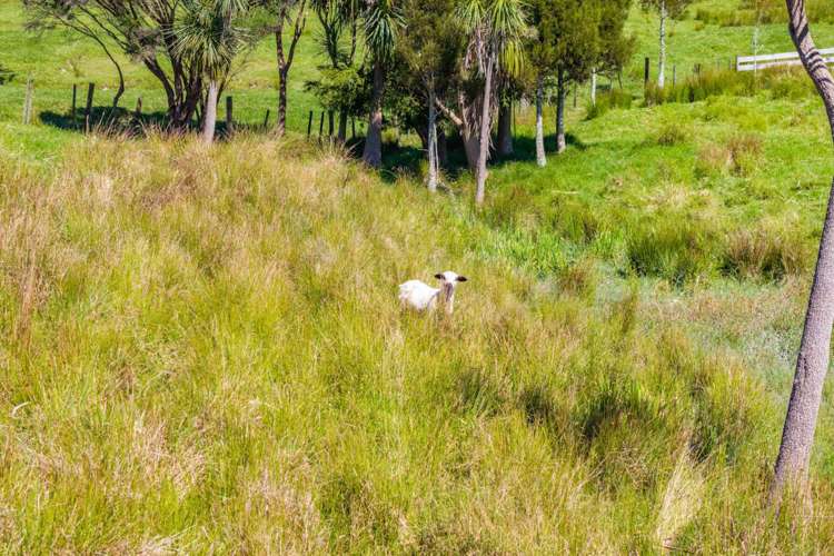 42 Bagnal Road Mangawhai_24