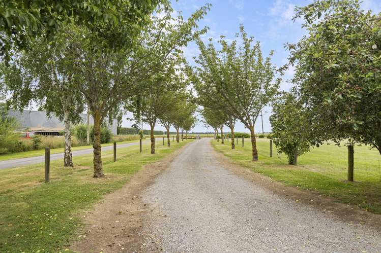 50 Irvines Road Dunsandel_20