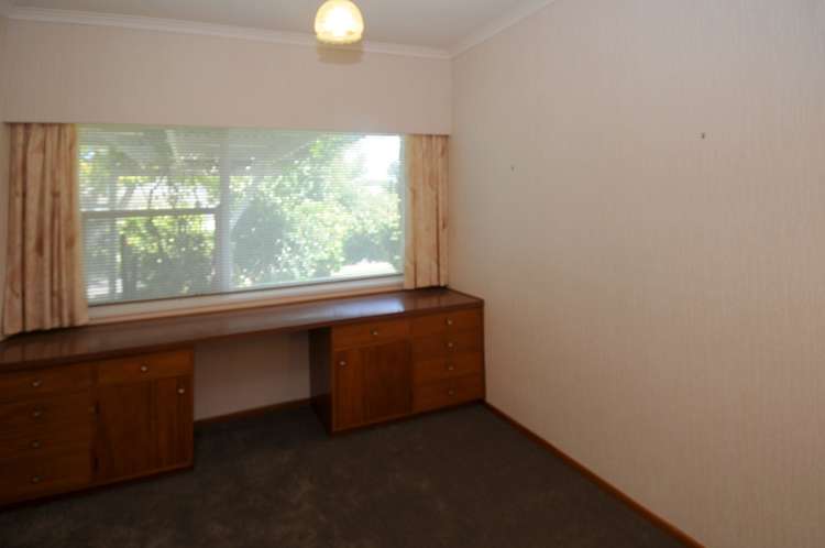 19 Hinaki Street Inner Kaiti_12