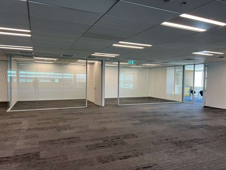 123 Carlton Gore Road Newmarket_9