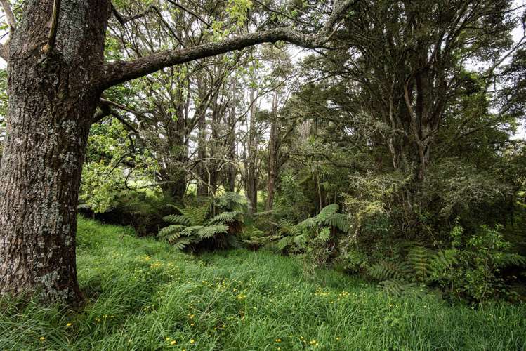 183 McLennan Road Whakapara_21