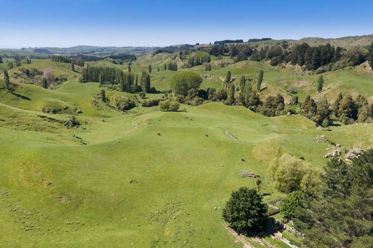 1262 - 1520 Maraetotara Road Waimarama_14