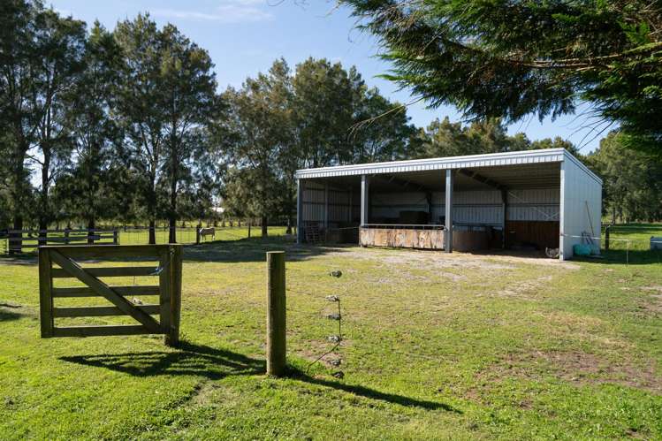 61 Dekker Road Omanawa_21