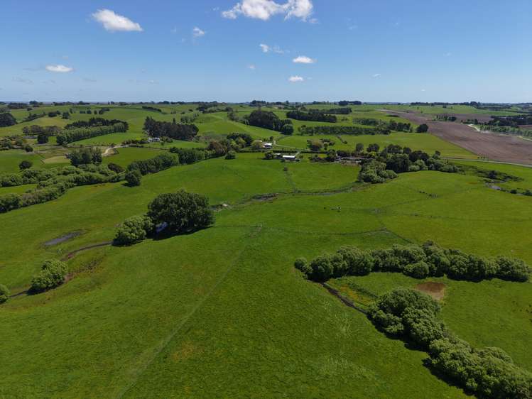 117 Te Rakehou Road Feilding_17