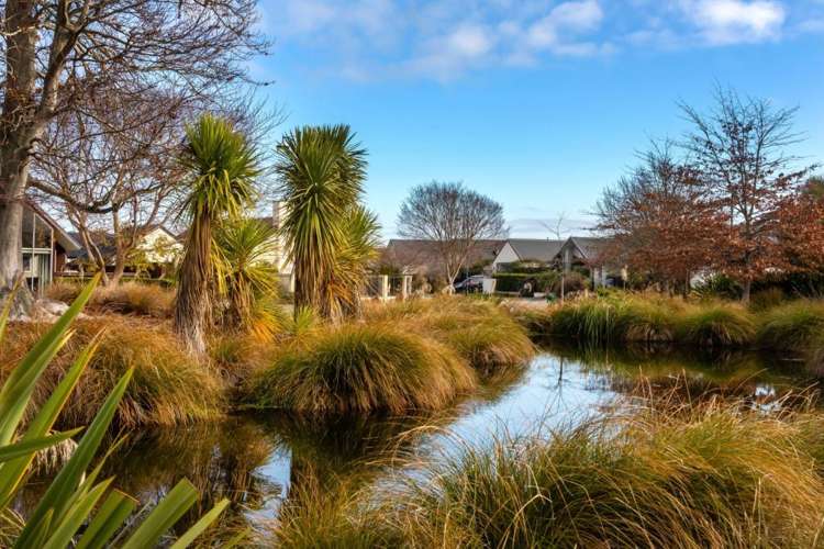 3 Timberlands Terrace Parklands_19