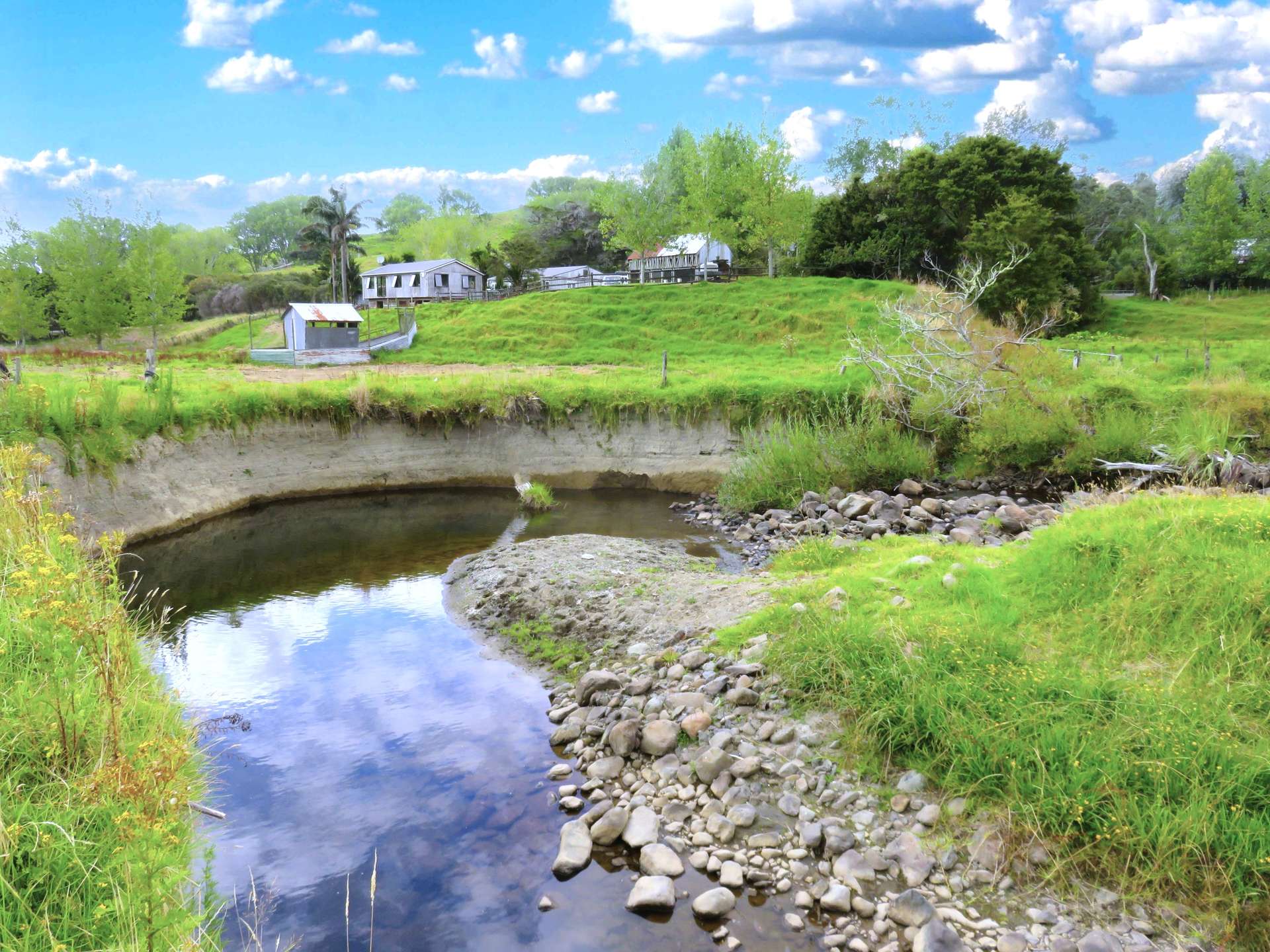 2218 Tangowahine Valley Road Dargaville Surrounds_0