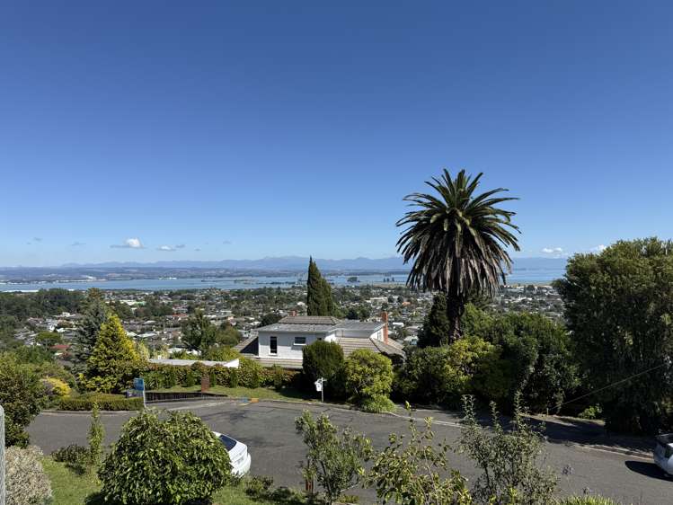 29 View Mount Stoke_1