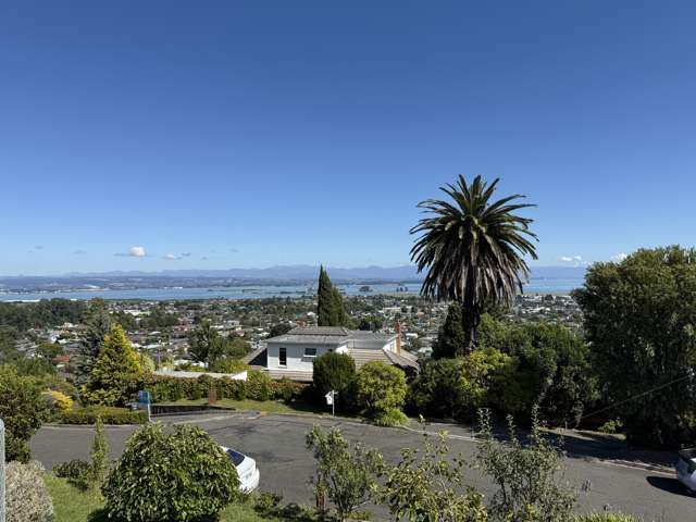 29 View Mount Stoke_1