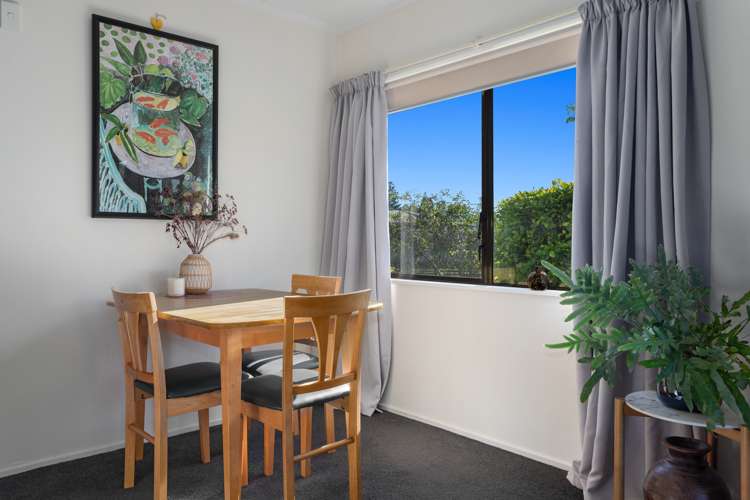 53a Kowhai Avenue Edgecumbe_5