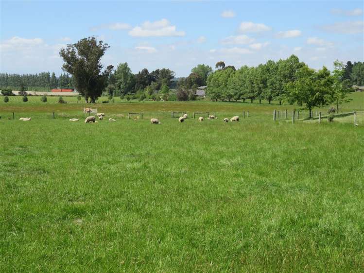 155 Summerhill Road Cust_16