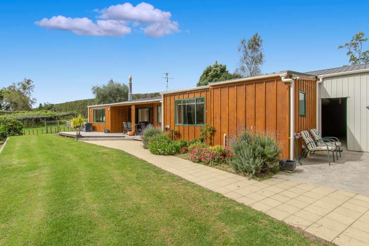 560 Belk Road Kaimai_10