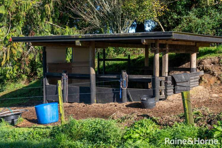 262 Tuhingamata Road Oruanui_9