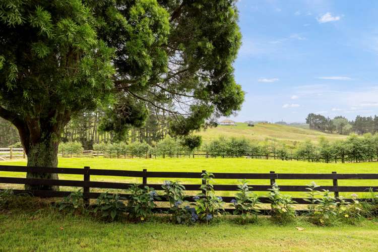298 Rimmer Road Helensville_3