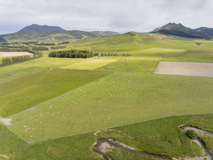 304 Acton Downs Road Acton_32