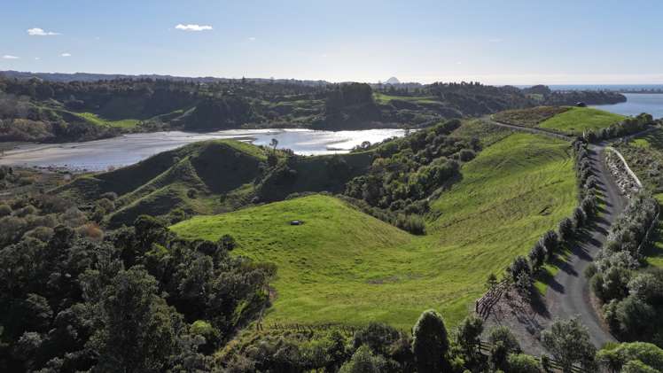841 and 841A Wainui Road_3