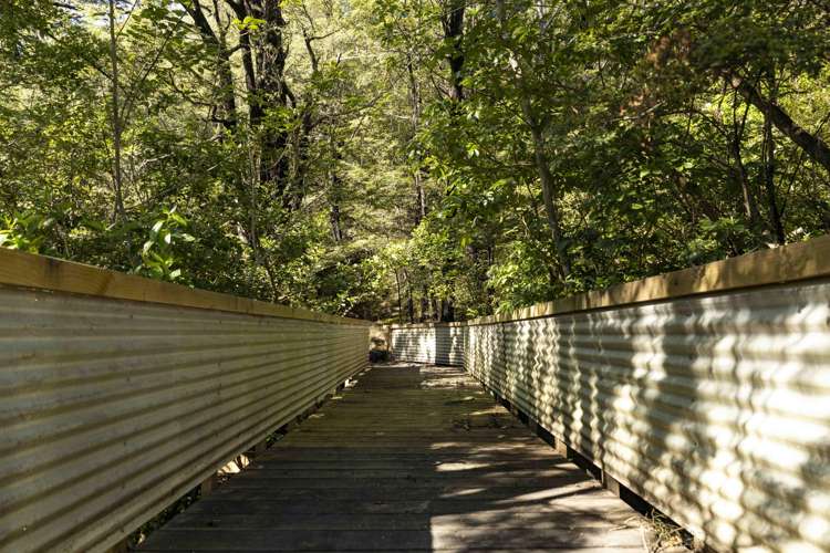 103 Glentui Bush Road Oxford_31