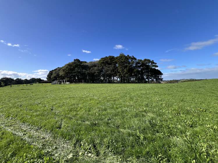 678 Waiuku Road_0