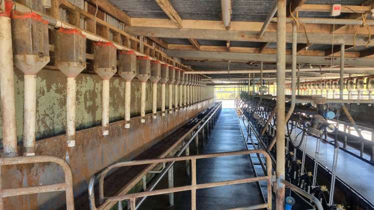 337 Mill Road Kawakawa_12