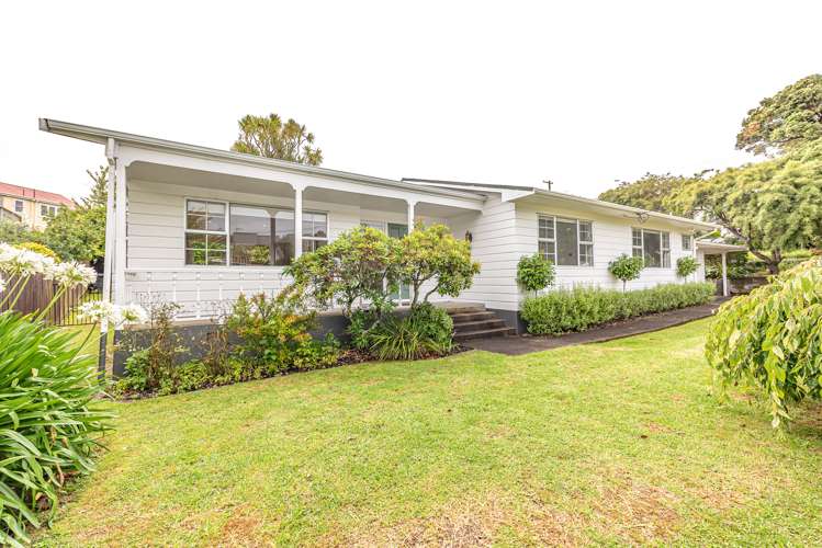 26 Parkes Avenue Saint Johns Hill_0