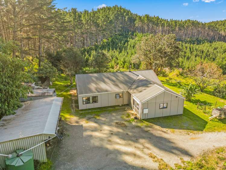 110 Whangape Track Road Broadwood_36
