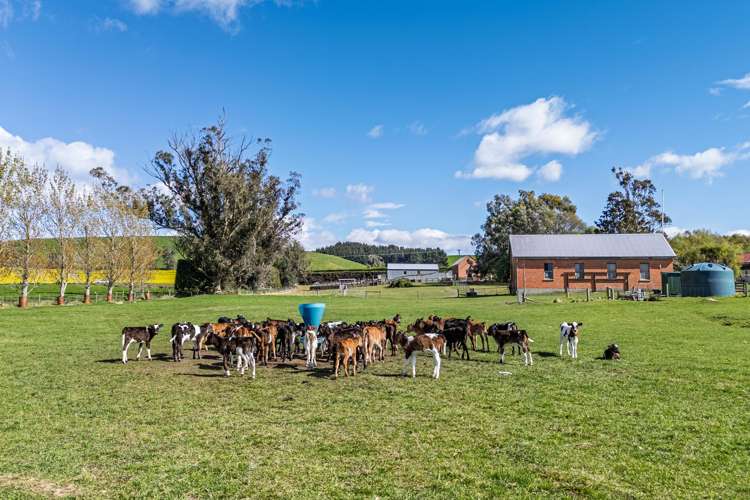 1353 Waimate Highway Otaio_10