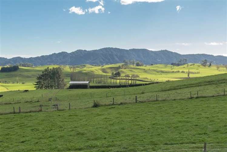 196a Horotiu Road Horotiu_16