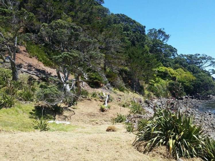 411 Schooner Bay Road Great Barrier Island (Aotea Island)_5
