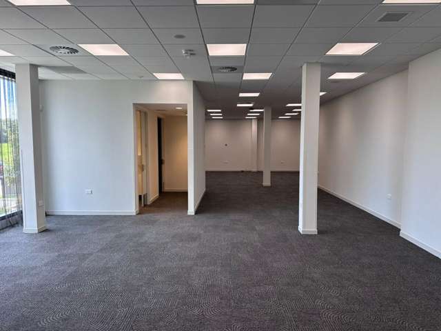 230 Seventeenth Avenue Tauranga Central_4