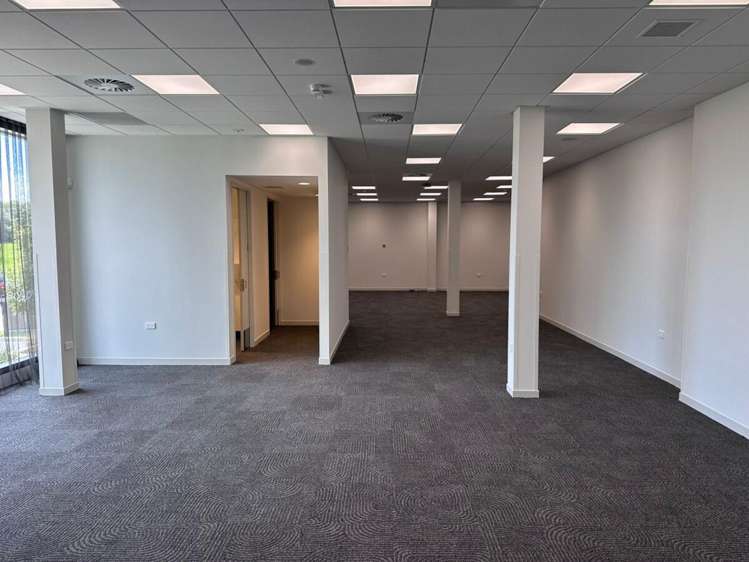 230 Seventeenth Avenue Tauranga Central_4
