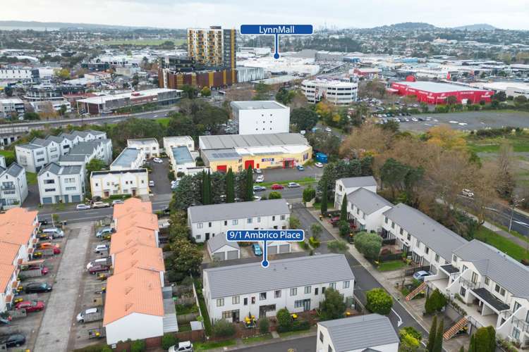 9/1 Ambrico Place New Lynn_12