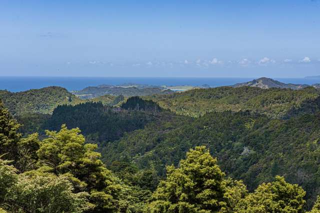 1403 Russell Road Helena Bay_3