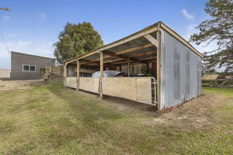 1542 Morrinsville-Walton Road Morrinsville_6