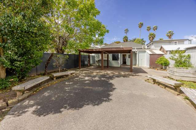 25 Clive Square West Napier South_4