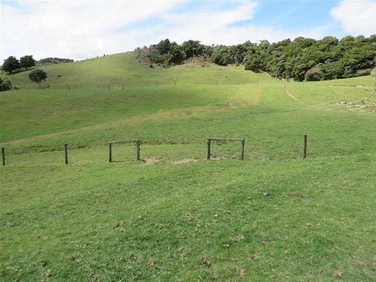 5 Te Opi Road Whakapirau_14