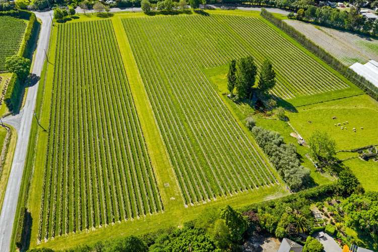 158 Murrays Road Rapaura_42