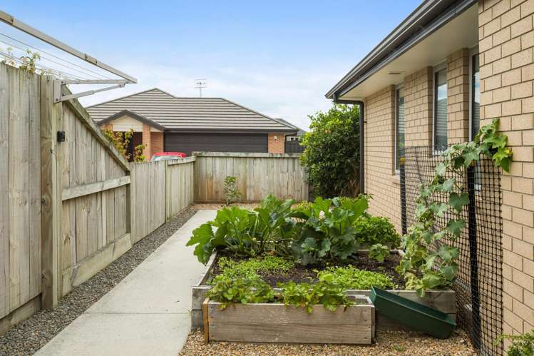 8 Eastbank Drive Katikati_10
