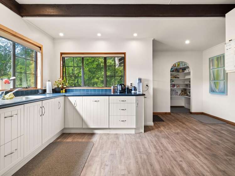 19 McAuley Road Portobello_5