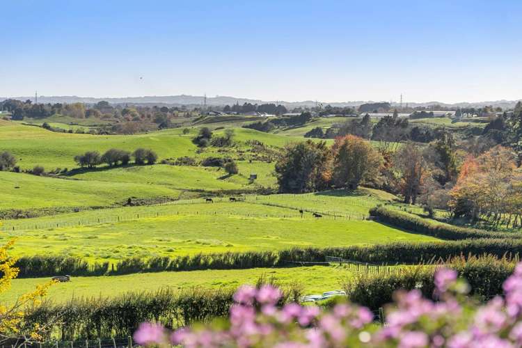 120 Kern Road Ramarama_25