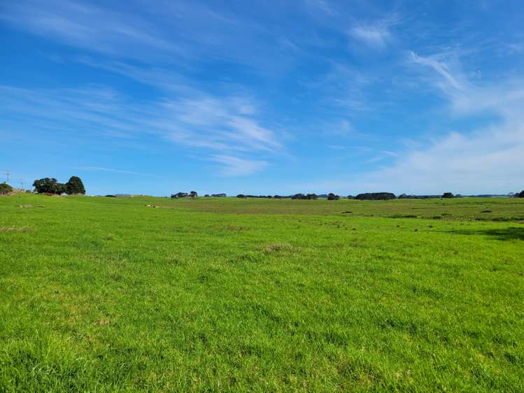 Pouto Road and Sarich Road_0