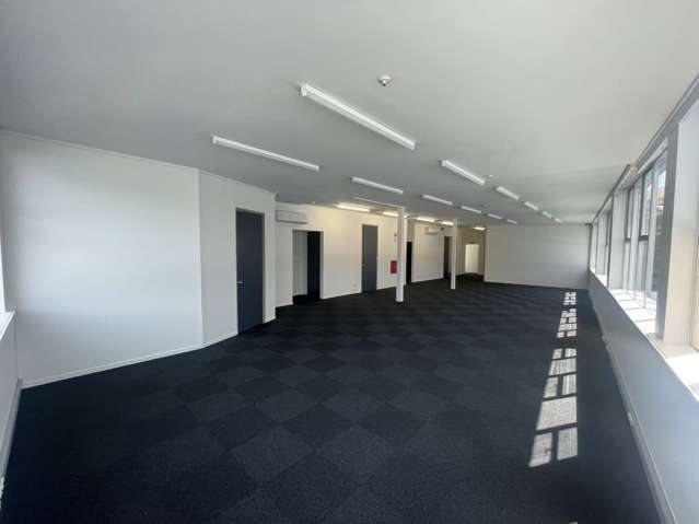 16 Heather Street Parnell_1