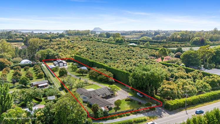 532a State highway 2 Wairoa_19