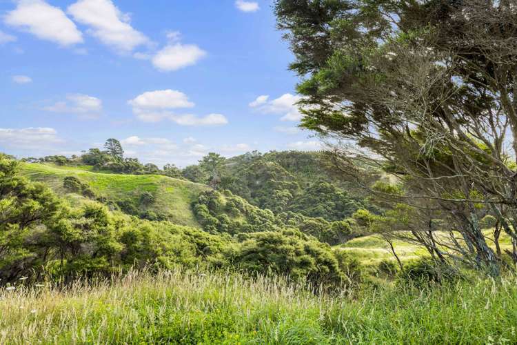 2368 Wairamarama Onewhero Road Glen Murray_19