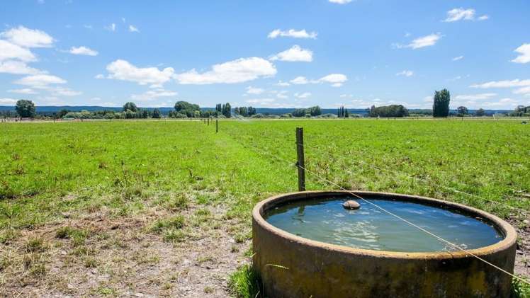 128 Mangamutu Road Murupara Surrounds_11