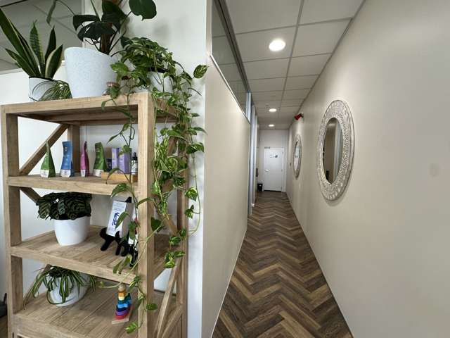 55 Clyde Road Browns Bay_2