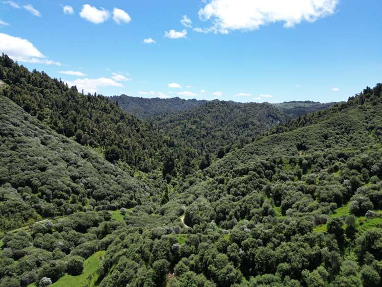 Trussells Track, Tawata Road Taumarunui_17