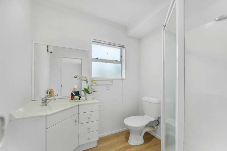 145 Hutchinson Avenue New Lynn_16