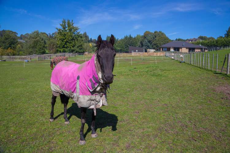 398 Ben Morven Road Fairhall_14