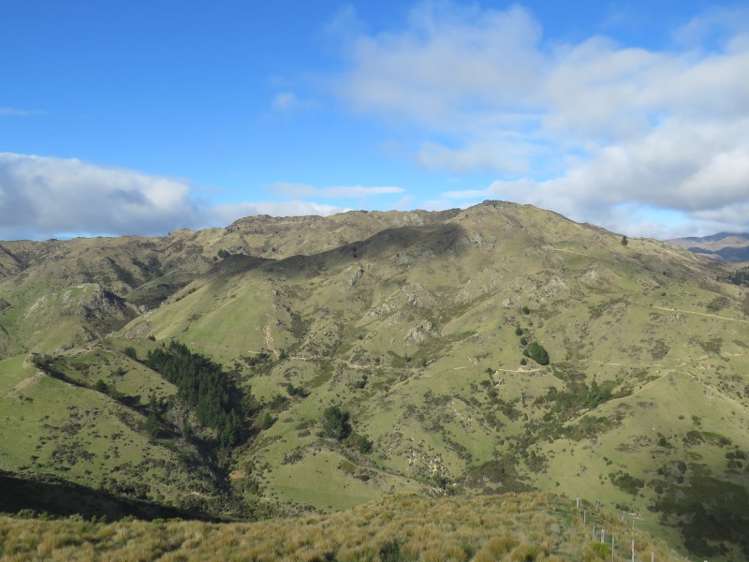 496 Haldons Road Seddon_1