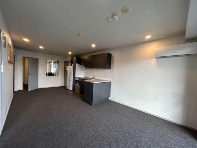 2C/1 Ophir Street Grey Lynn_2